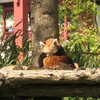 kteaworld Altpins Profile Picture