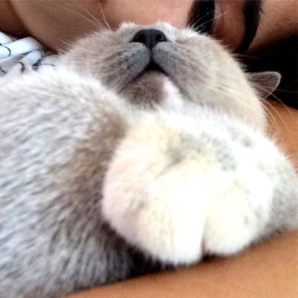owlydiaa instagram image archive image