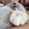 owlydiaa Altpins Profile Picture