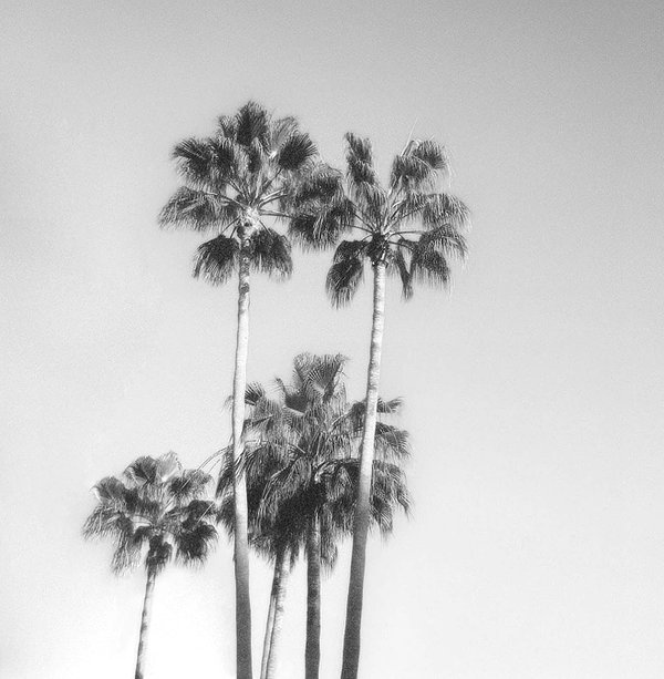 zoeliss instagram image archive image
