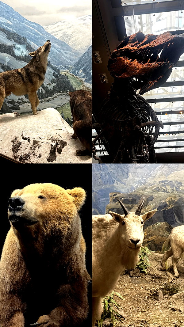 gargoyol instagram image archive image