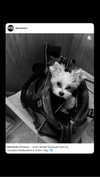 kkwwwv Altpins Profile Picture