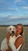 danamrts Altpins Profile Picture