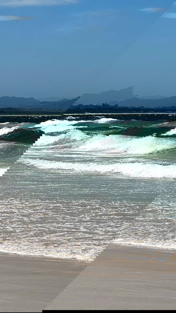 taylor.creeden taylor.creeden archive image