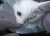 hav_oku Altpins Profile Picture