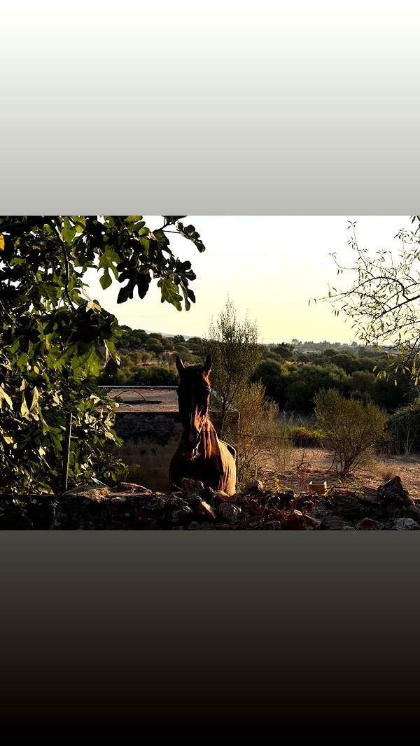 sullivang_ instagram image archive image