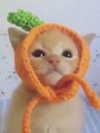 cuteamber666 Altpins Profile Picture
