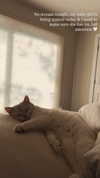 rachelchaleff Altpins Profile Picture
