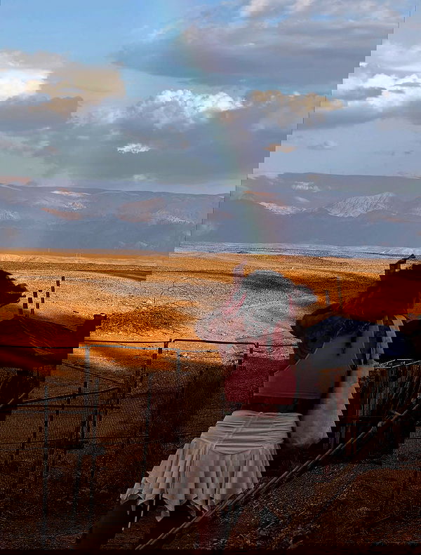 iambohema.v2 iambohema.v2 archive image