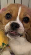 kyla.doddsss Altpins Profile Picture