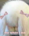 danielle.mercedie Altpins Profile Picture