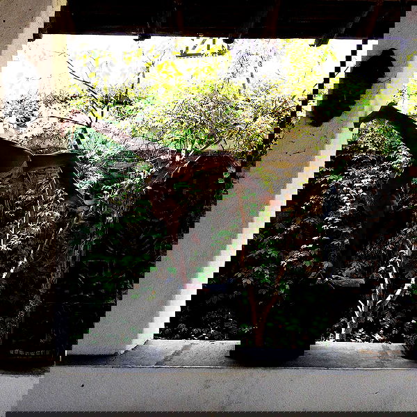 kkulakovaa image ~ Altpins