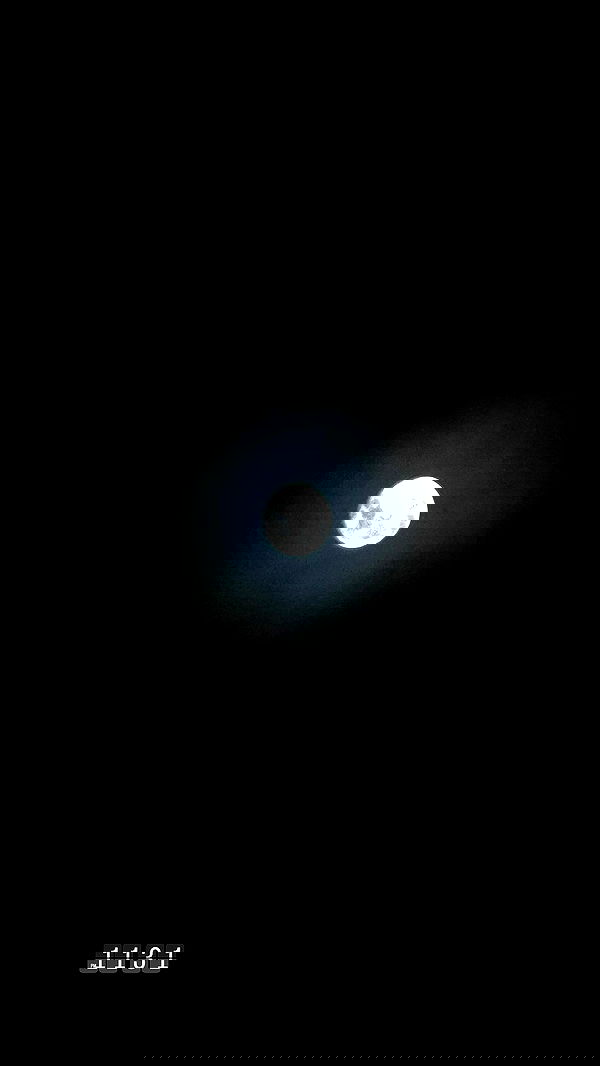 alexandramarianna alexandramarianna archive image