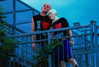 lowrtown Altpins Profile Picture