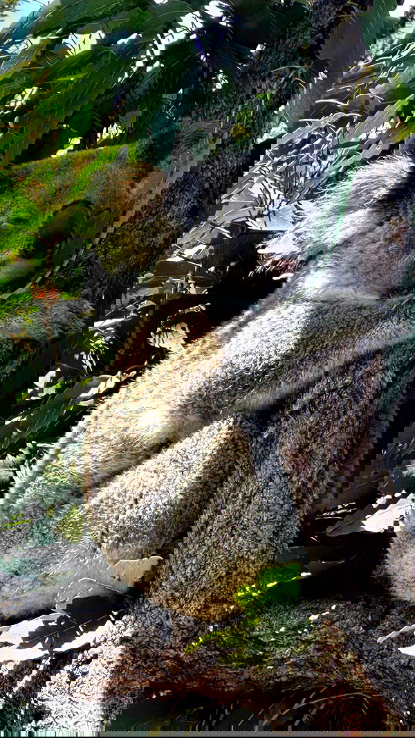 taylor.creeden taylor.creeden archive image