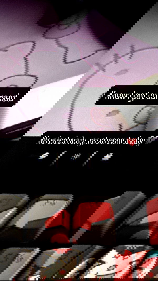 chibinekopurr chibinekopurr archive image