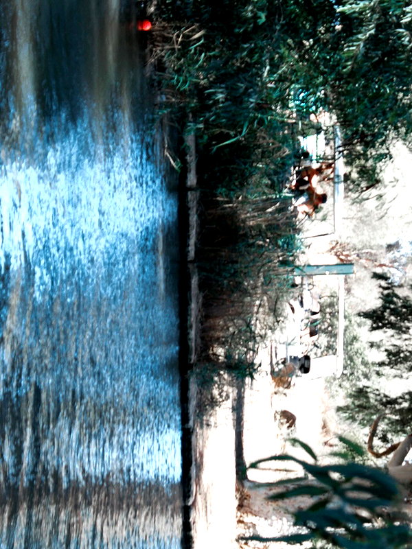rei.sigalov instagram image archive image