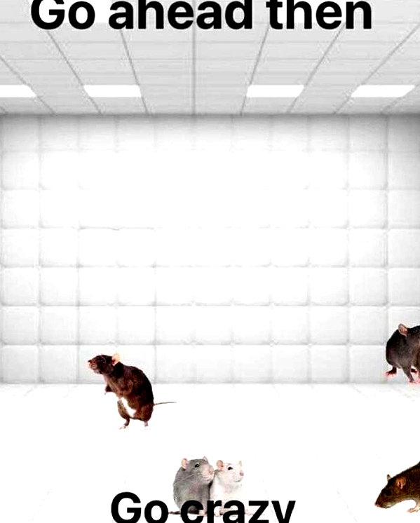 ellaexplicit_ instagram image archive image