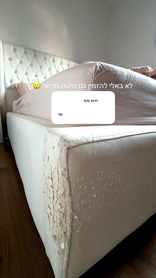 itsilanosh instagram image archive image