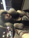 zommmbri Altpins Profile Picture