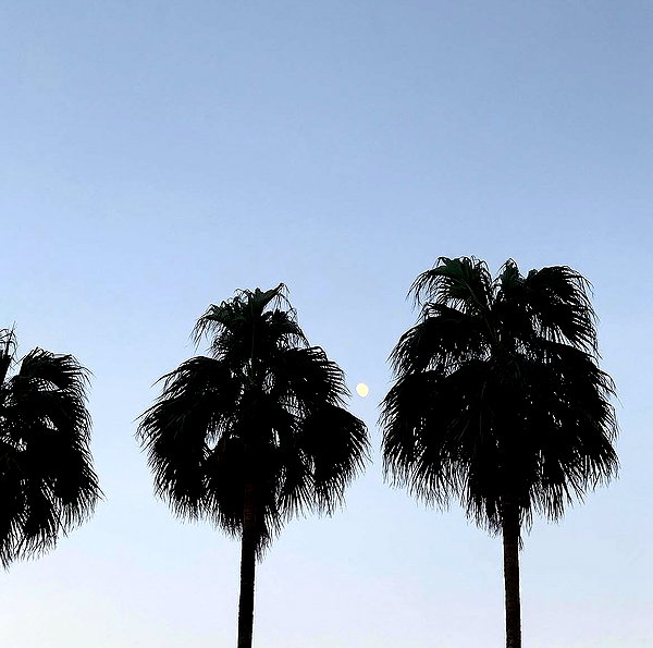 a.tinn___ instagram image archive image