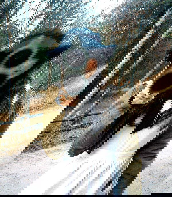 haylujan haylujan archive image