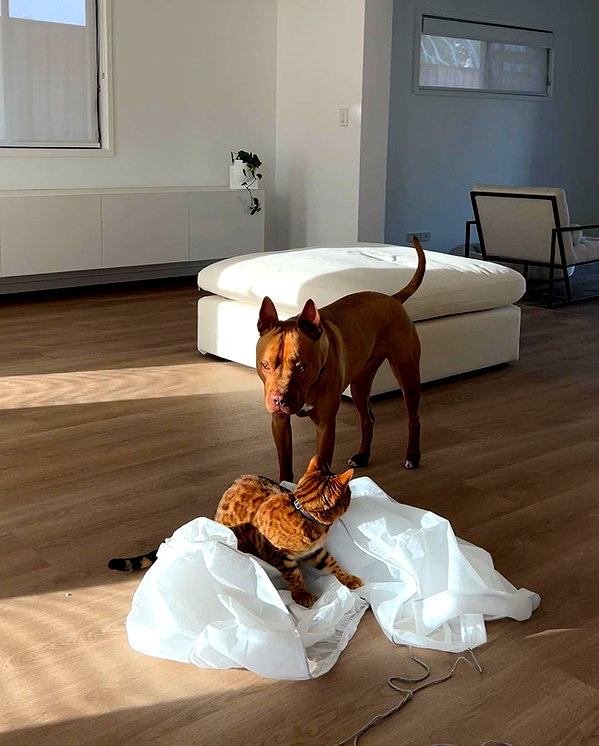 olivia.mathers instagram image archive image