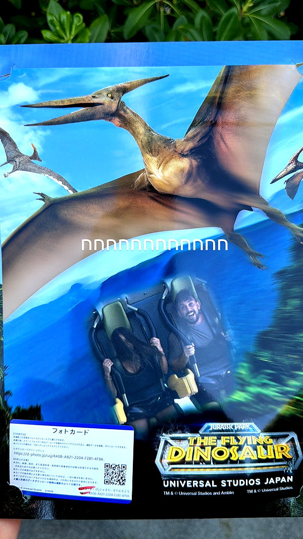 lir.noam instagram image archive image