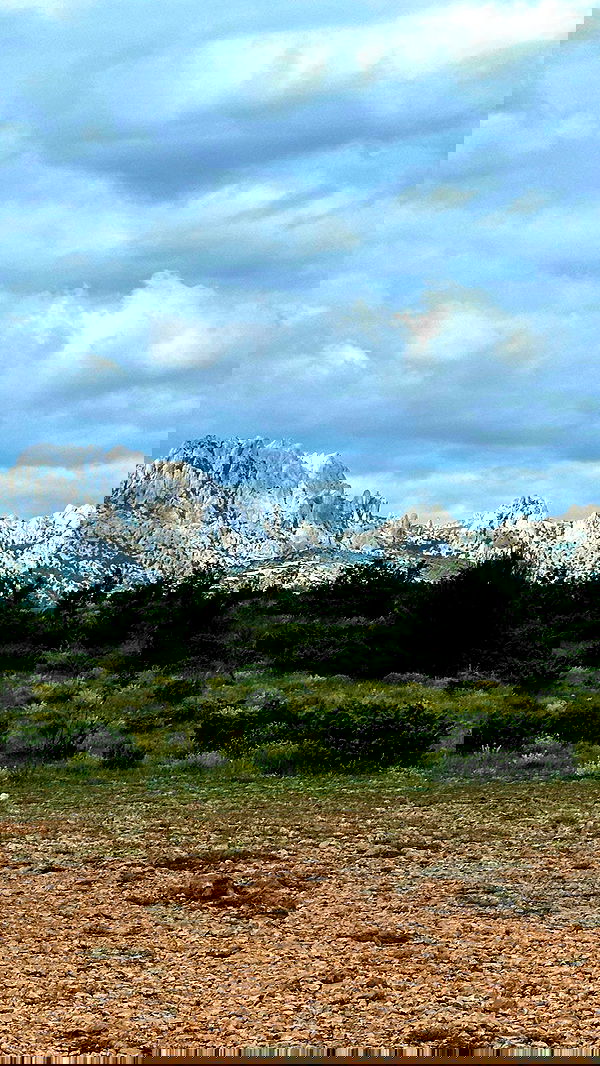 taylor.creeden taylor.creeden archive image