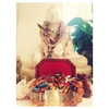 katehudson Altpins Profile Picture