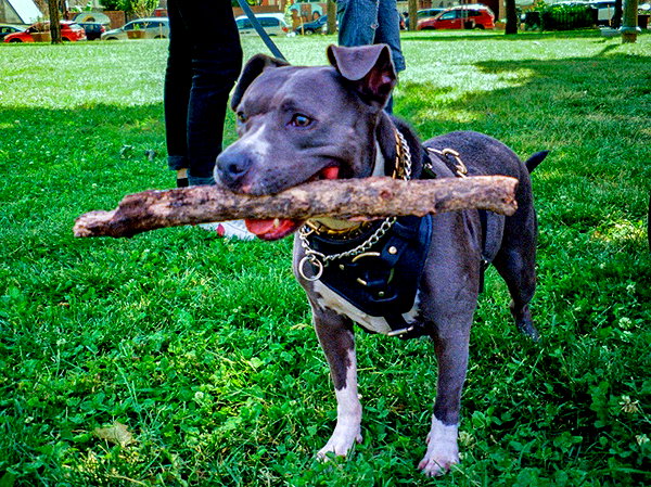 bugz4brainz instagram image archive image