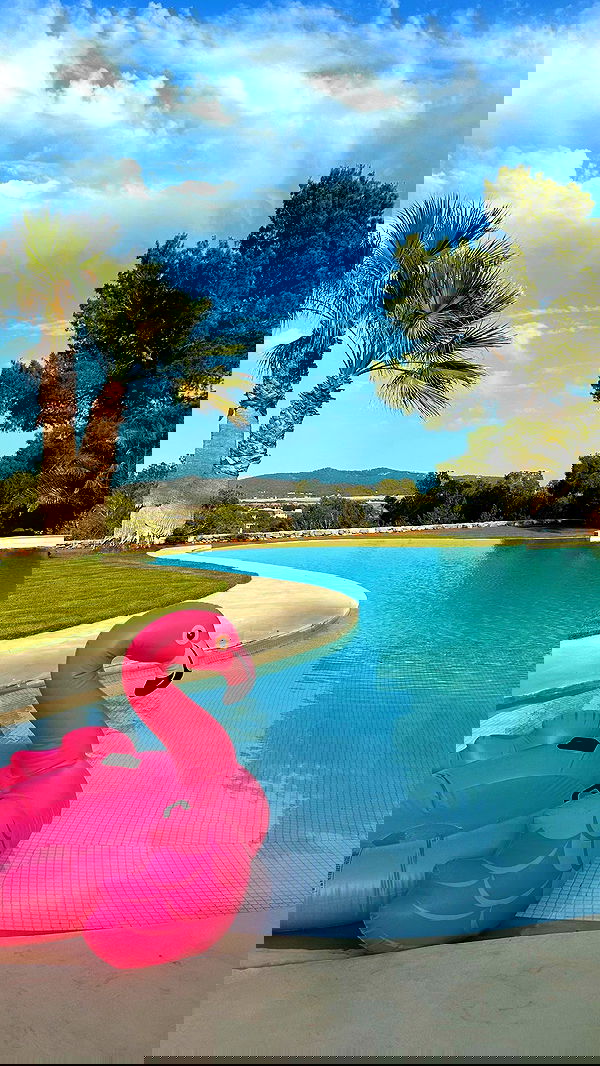 taylor.creeden taylor.creeden archive image