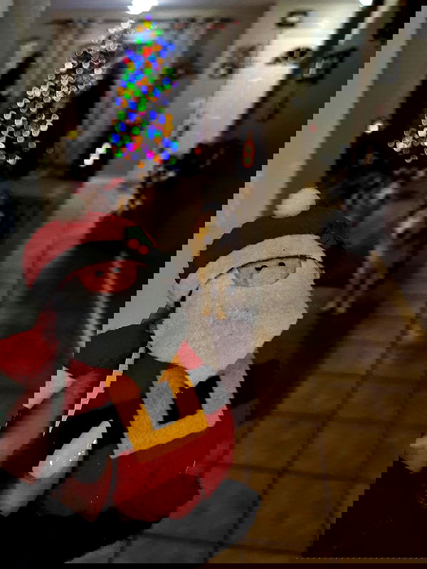 _animechika_ image ~ Altpins