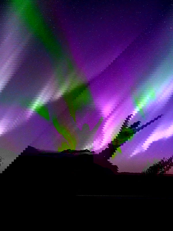 taylor.creeden taylor.creeden archive image