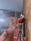 lilly.chann_ Altpins Profile Picture