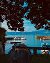 annabottoo Altpins Profile Picture