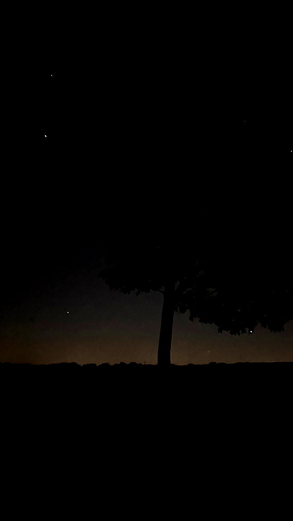 drowsylio instagram image archive image
