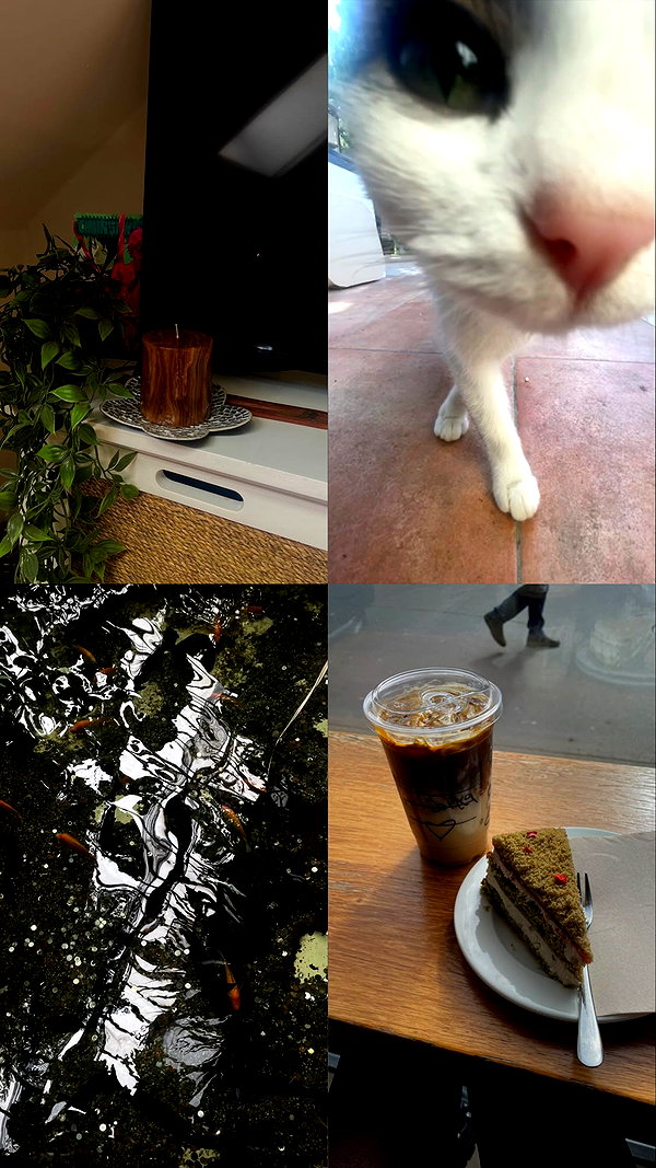 borkwsmh instagram image archive image