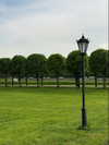 forestowwwl Altpins Profile Picture
