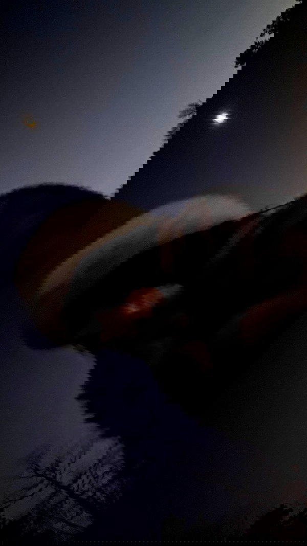 zommmbri image ~ Altpins