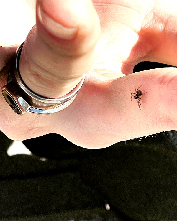haileylayfield instagram image archive image