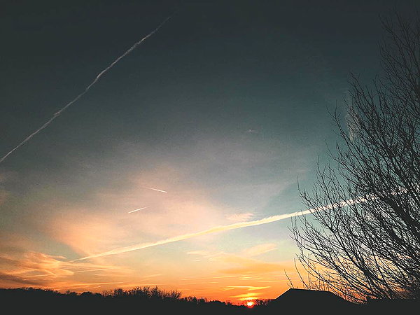 hallucineon instagram image archive image