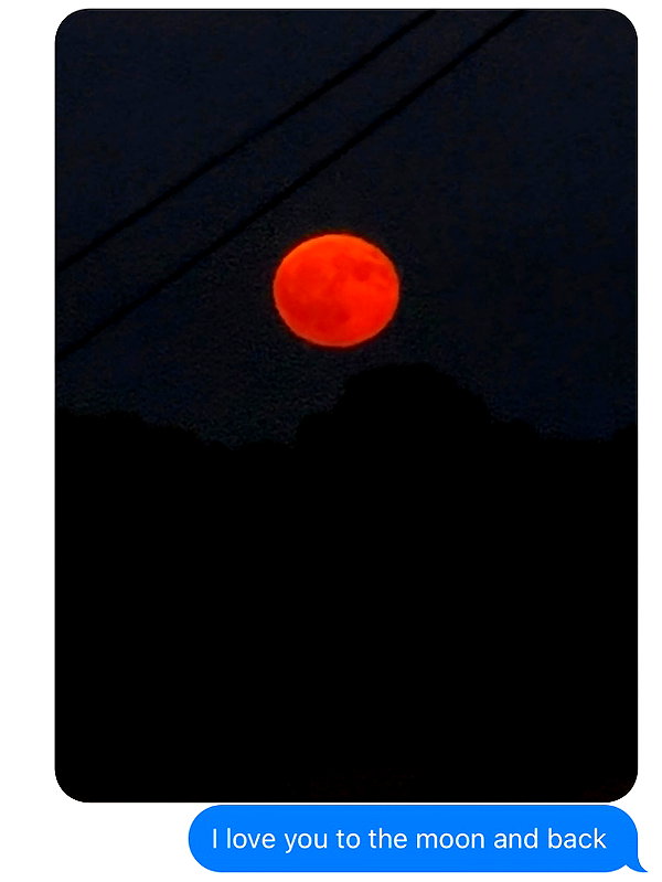 sullivang_ instagram image archive image