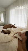 olivia.mathers Altpins Profile Picture