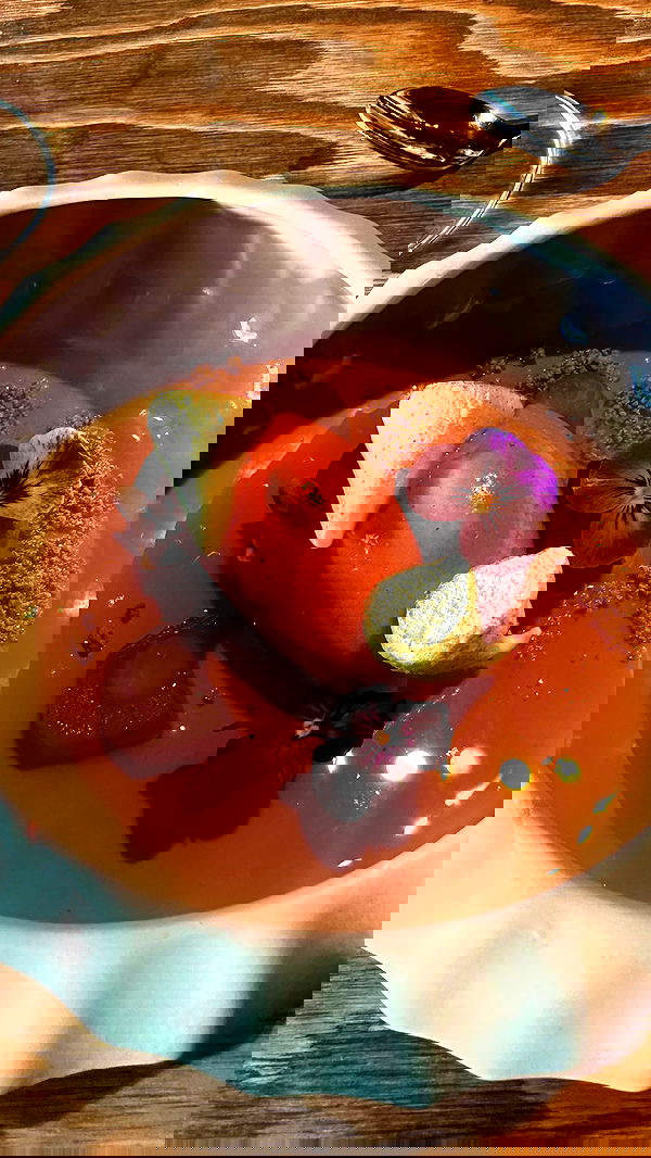 taylor.creeden taylor.creeden archive image