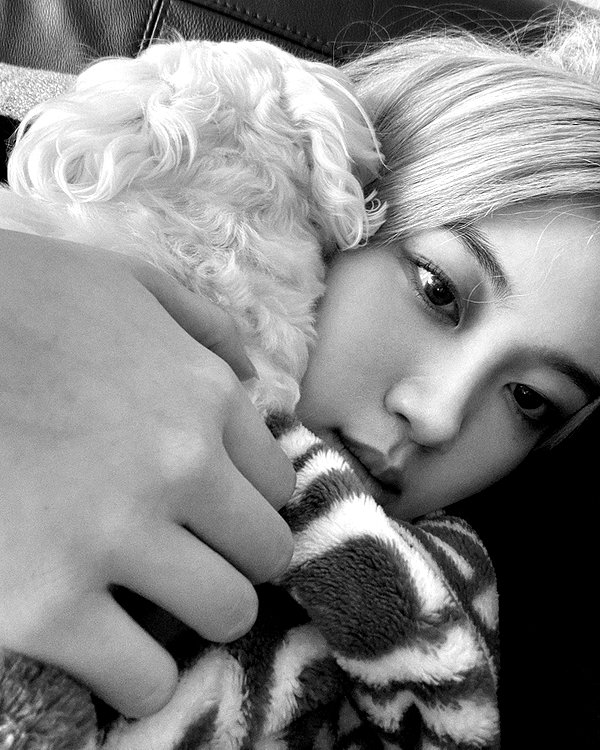 allissashin instagram image archive image