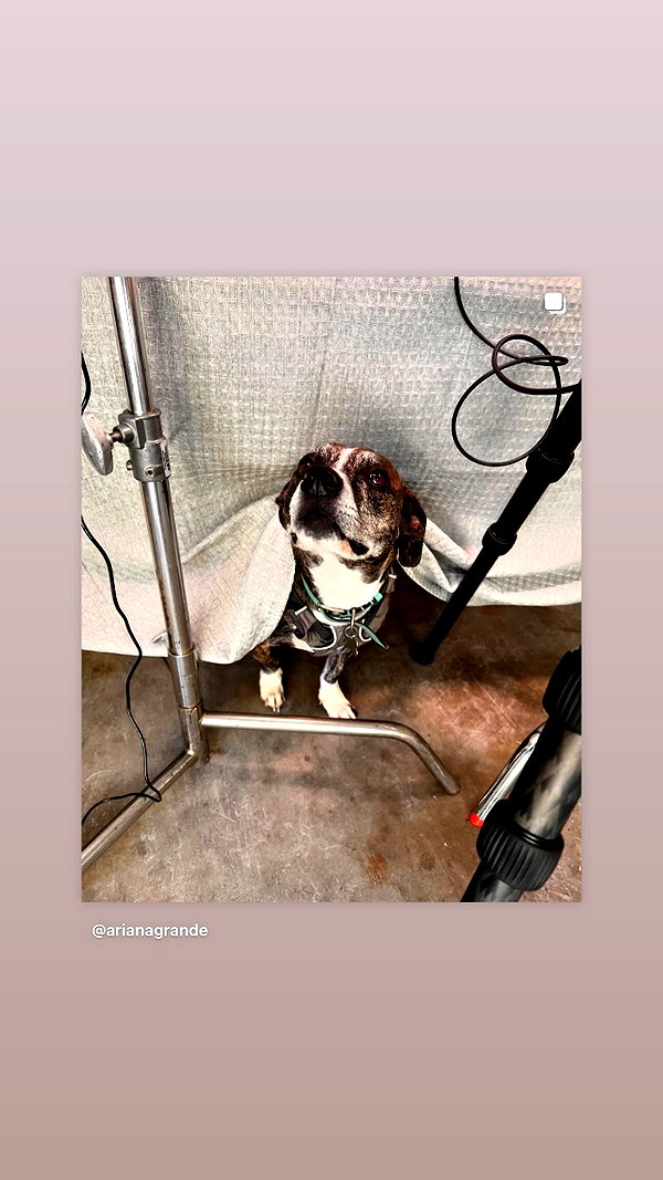 arianagrande instagram image archive image