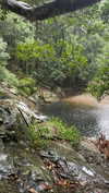 daisy_r_19 Altpins Profile Picture