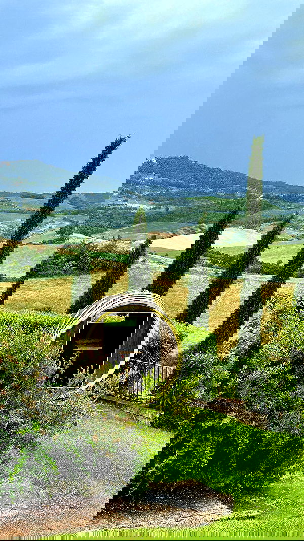 taylor.creeden taylor.creeden archive image