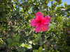 melissacollazo Altpins Profile Picture
